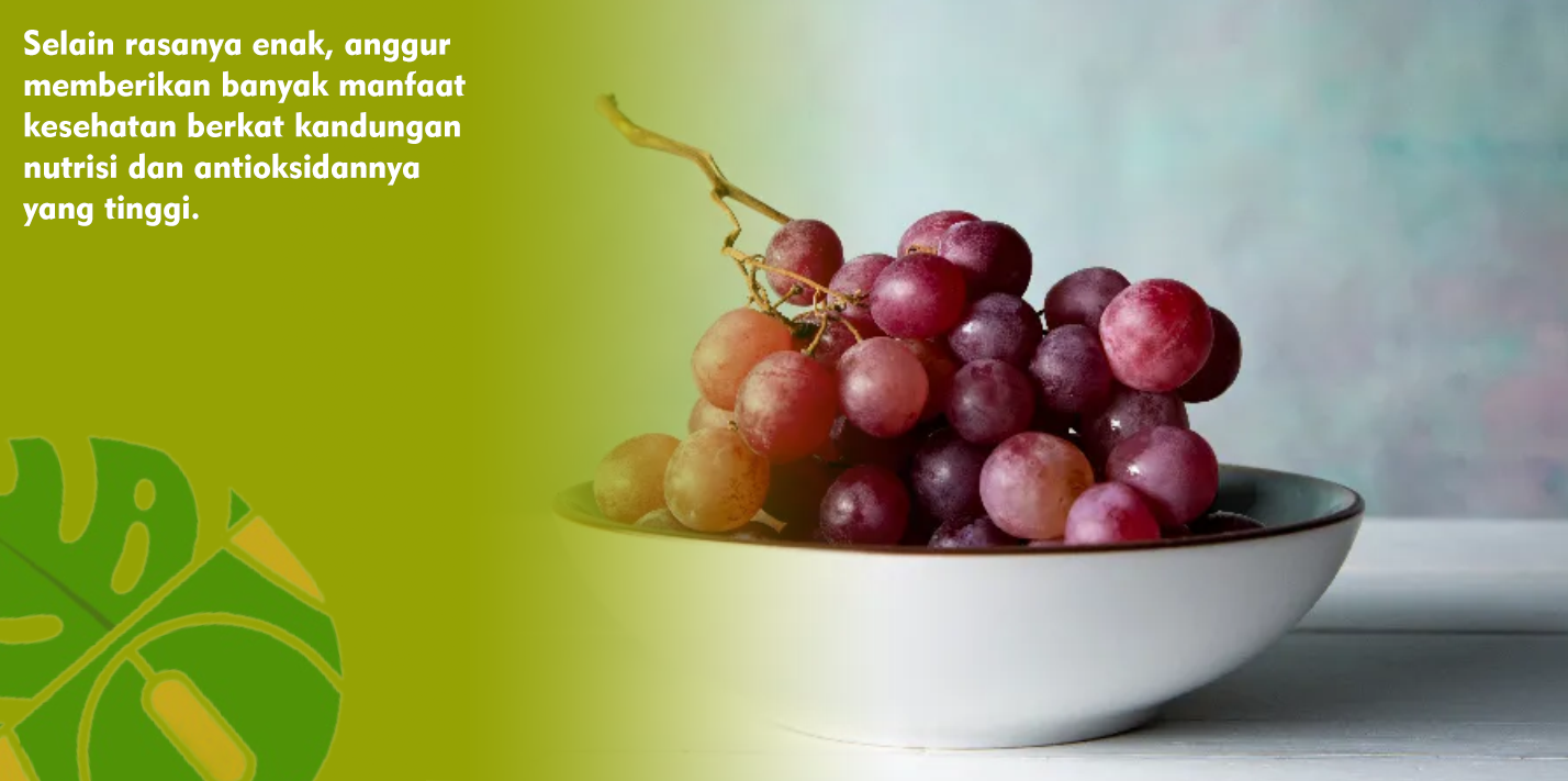 Ragam Khasiat Buah Anggur: Meningkatkan Kekebalan Tubuh, Sumber Antioksidan, Kulit dan Rambut Ragam Khasiat Buah Anggur: Meningkatkan Kekebalan Tubuh, Sumber Antioksidan, Kulit dan Rambut